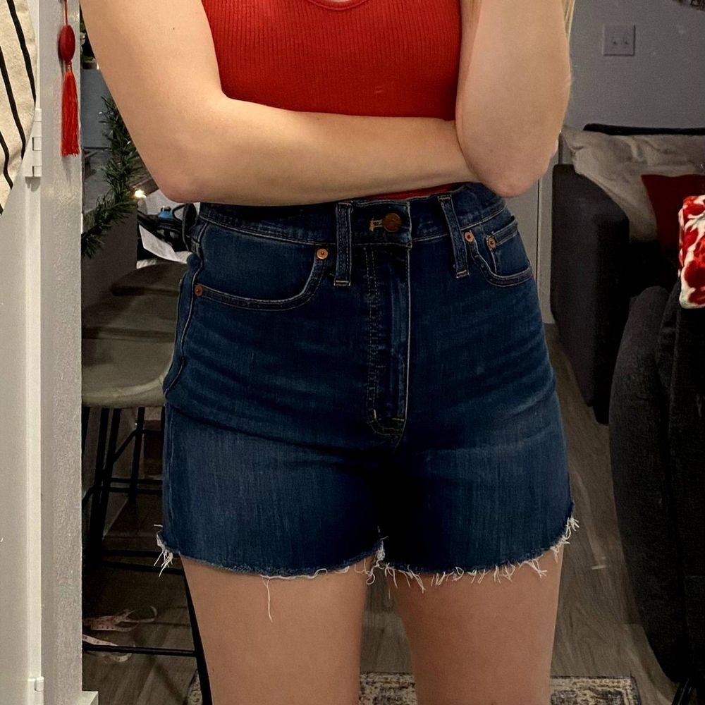 Madewell High-Rise Denim Shorts Raw Hem (27)